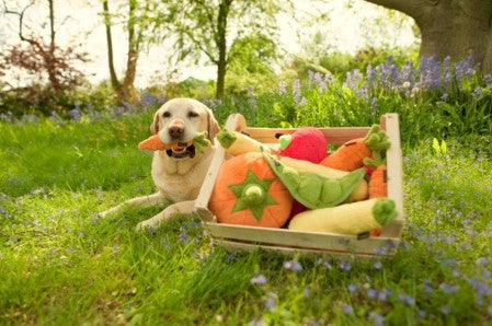 Garden Fresh Peapod Toy