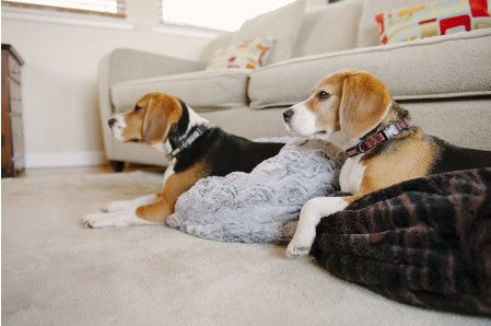 Snuggle Bed: Charcoal Gray
