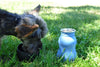 Denim Blue (Small): Dog Water Bottle & Travel Bowl