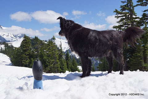 Denim Blue (Large): Dog Water Bottle & Travel Bowl