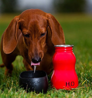 Racecar Red (Small): Dog Water Bottle & Travel Bowl
