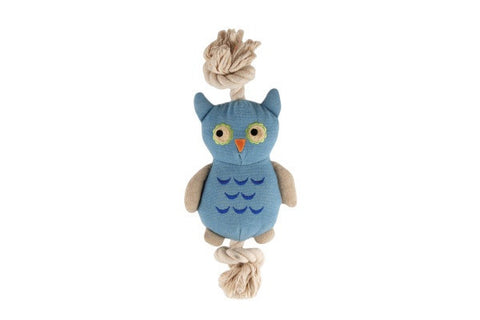 Joe the Little Owl