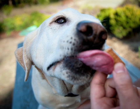 DOGSTREAT Peanut Butter