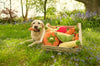 Garden Fresh Zucchini Toy
