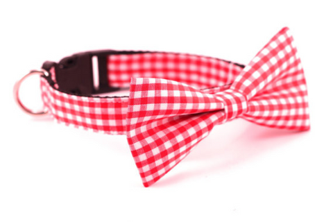 Bow Tie Collar, Gingham: Red or Blue