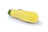 Garden Fresh Zucchini Toy