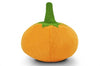 Garden Fresh Pumpkin Toy