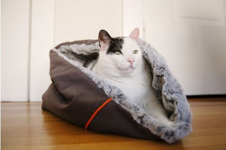 Snuggle Bed: Truffle Brown